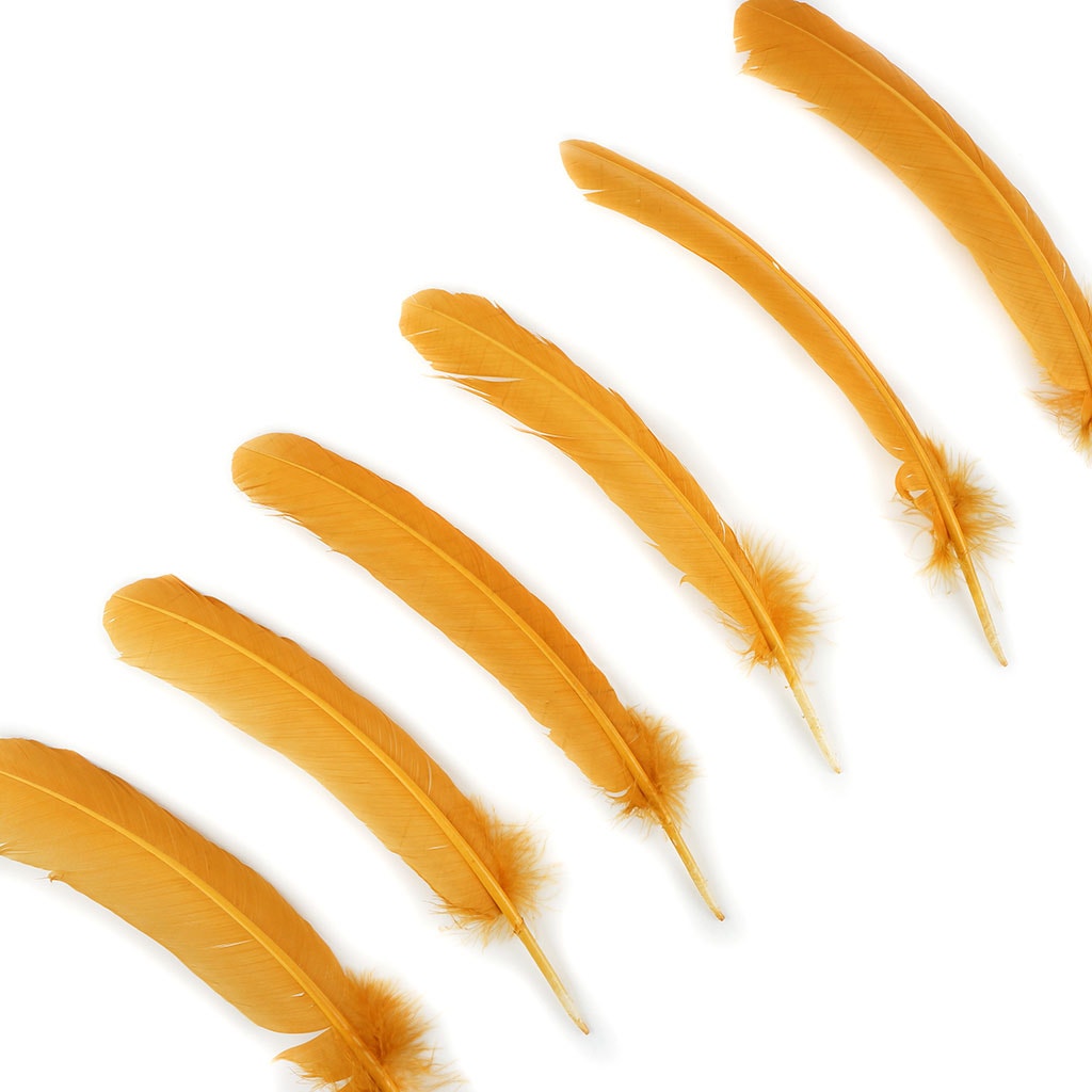 Turkey Quills Selected Antique Gold - Feathers