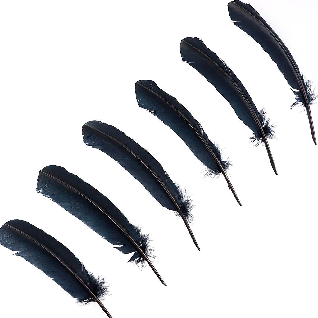 Turkey Quills Selected - Black - Feathers