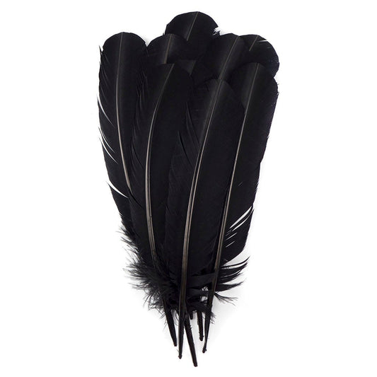 Turkey Quills Selected - Black - Feathers