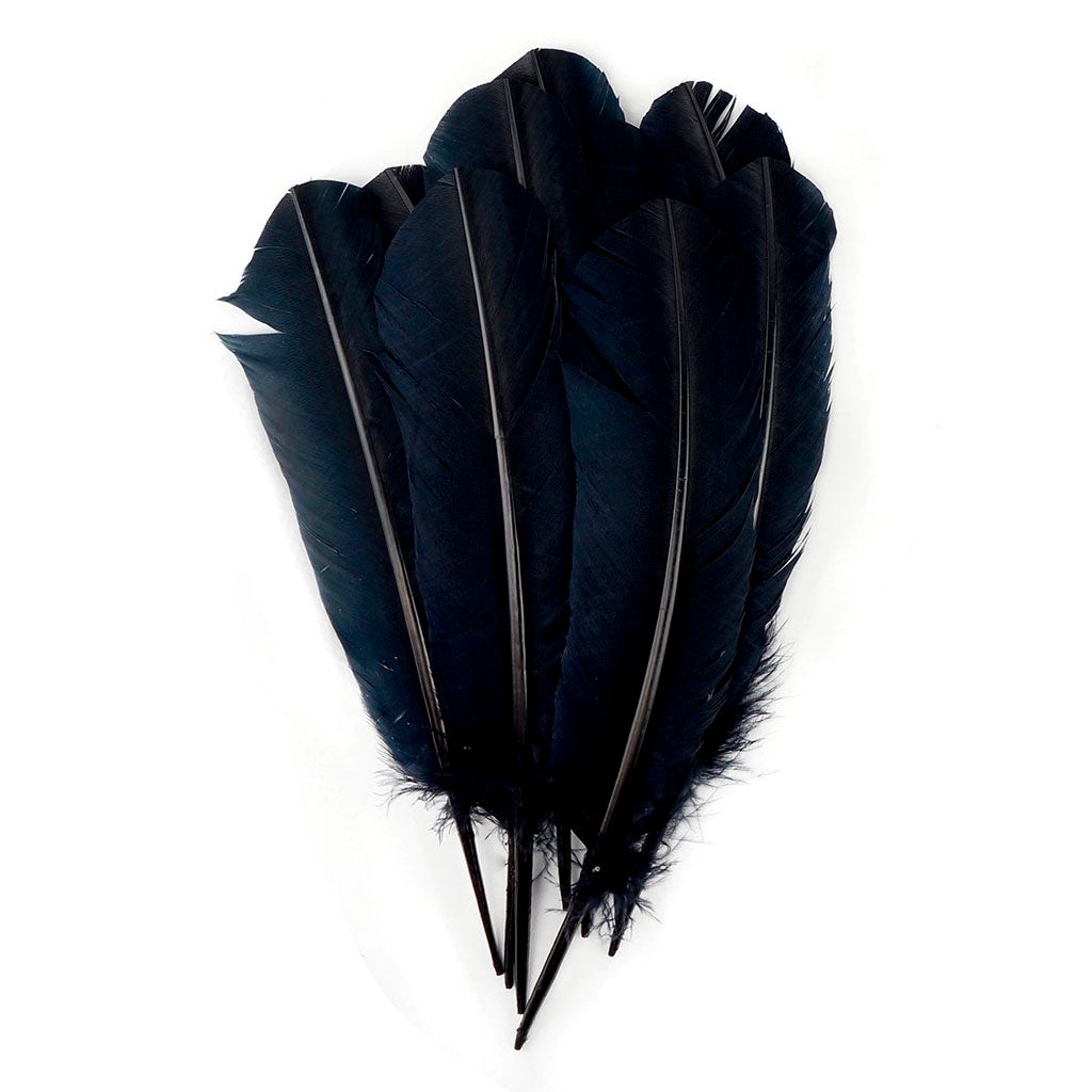 Turkey Quills Selected - Black - Feathers