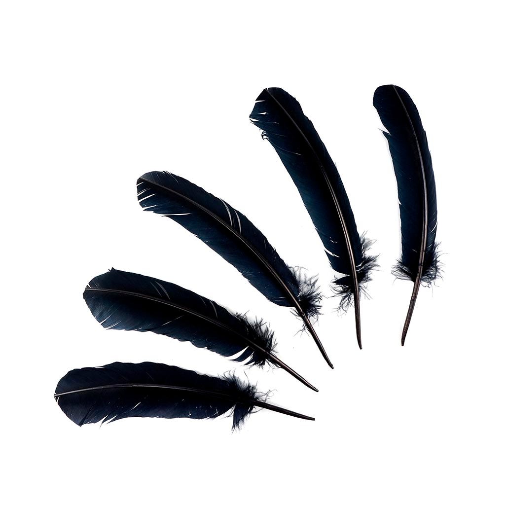 Turkey Quills Selected - Black - Feathers