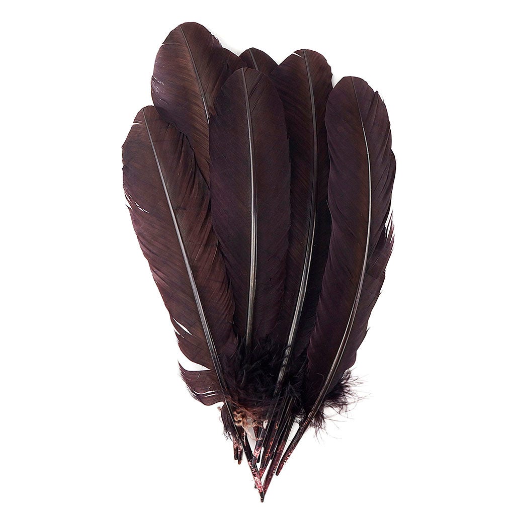 Turkey Quills Selected - Brown - Feathers