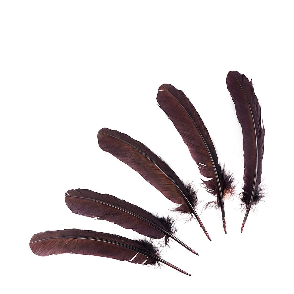 Turkey Quills Selected - Brown - Feathers