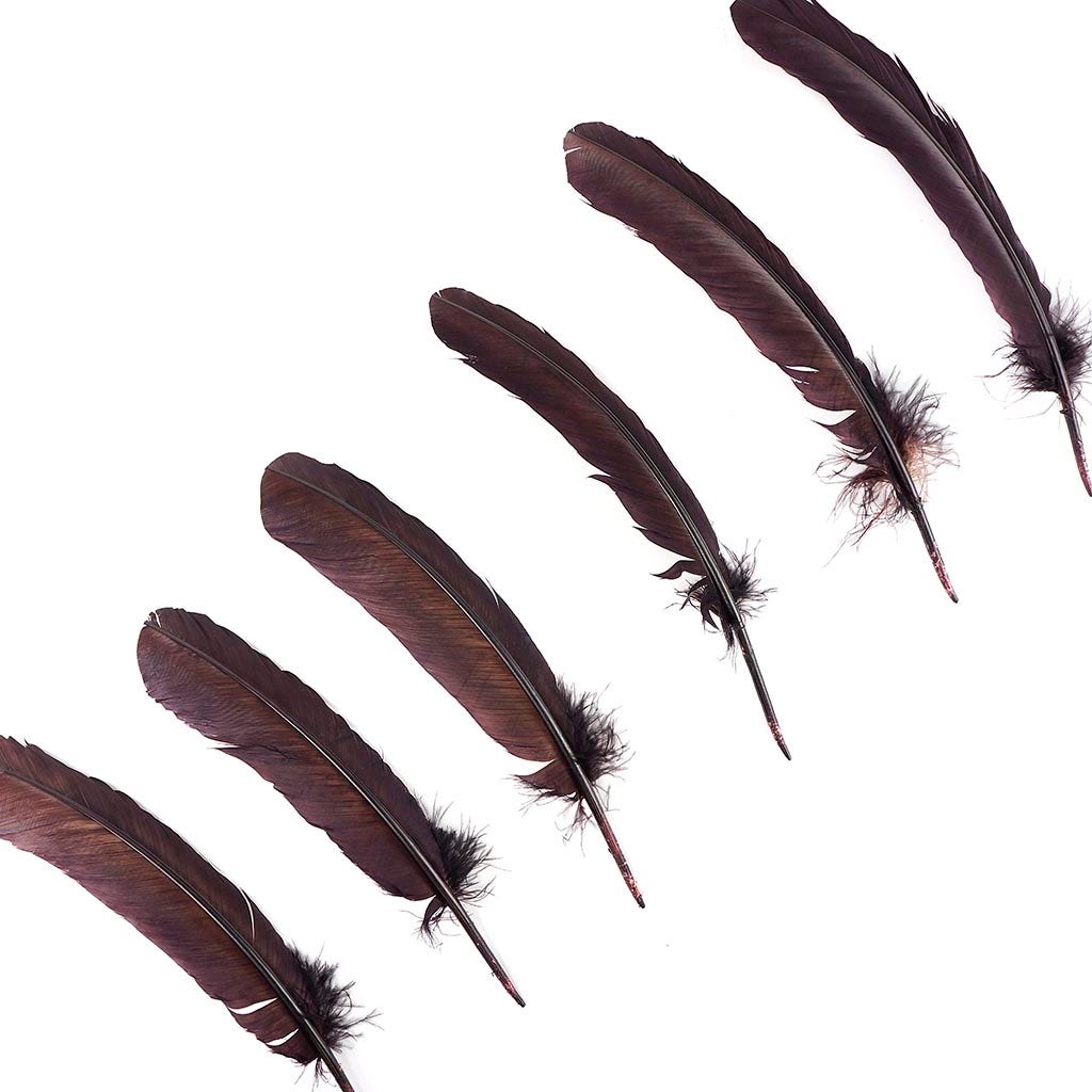 Turkey Quills Selected - Brown - Feathers