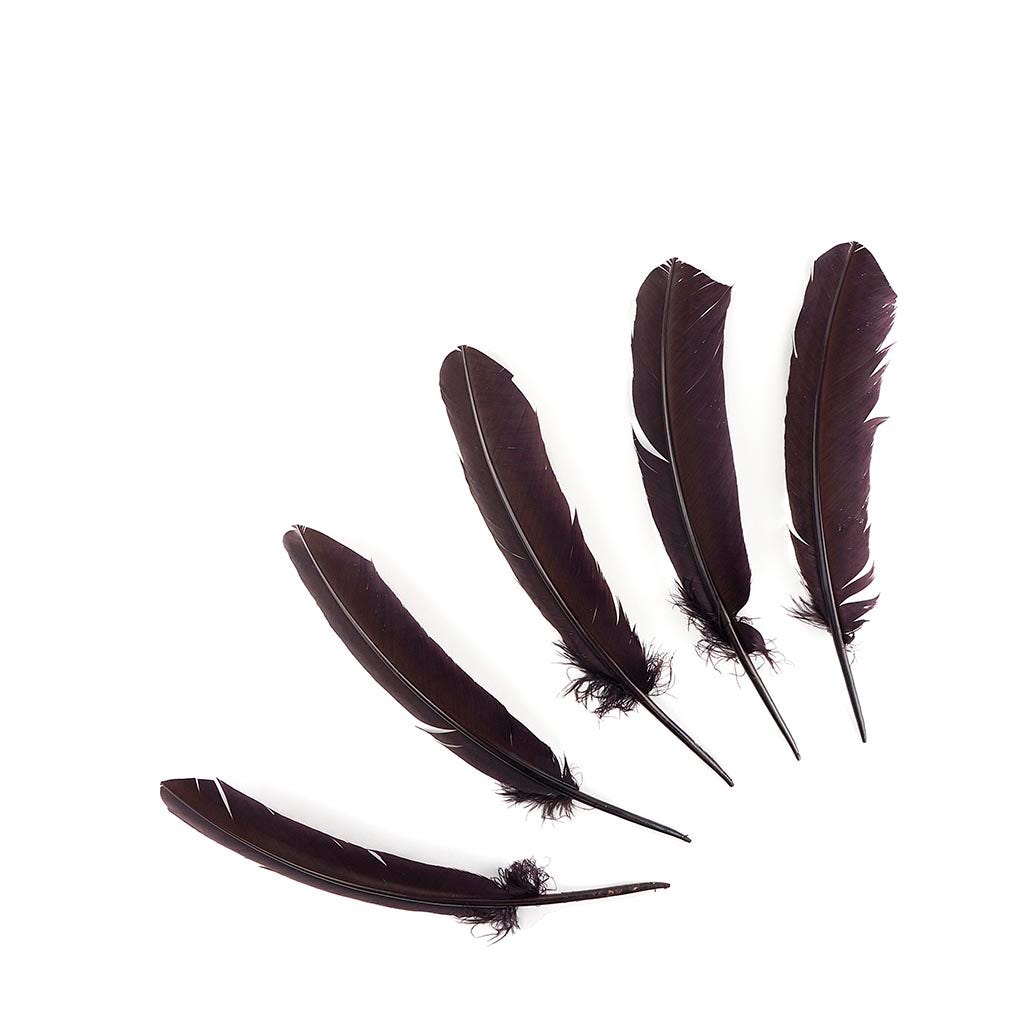 Turkey Quills Selected - Brown - Feathers