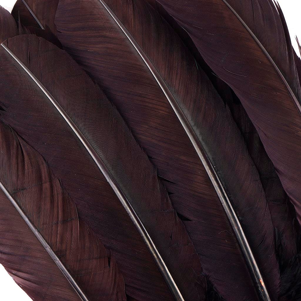 Turkey Quills Selected - Brown - Feathers