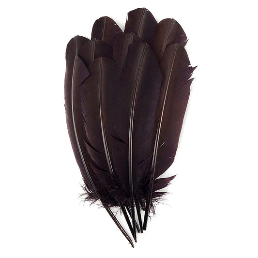 Turkey Quills Selected - Brown - Feathers