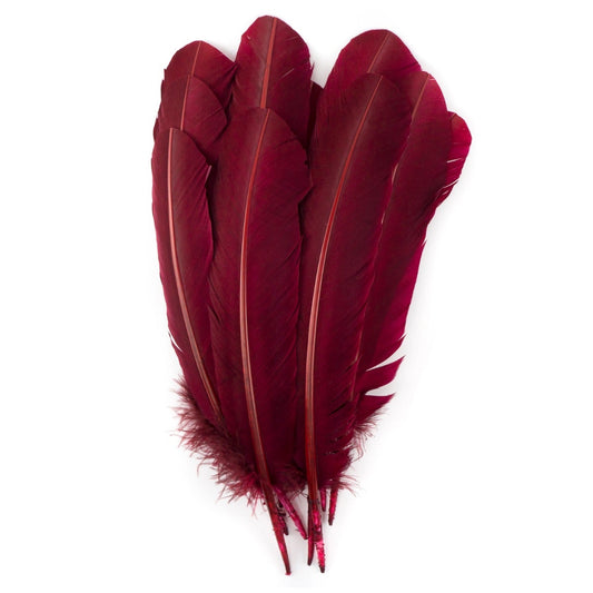 Turkey Quills Selected - Burgundy - Feathers