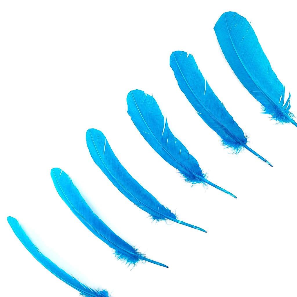 Turkey Quills Selected - Dark Turquoise - Feathers