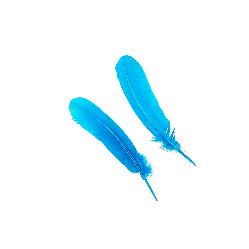 Turkey Quills Selected - Dark Turquoise - Feathers