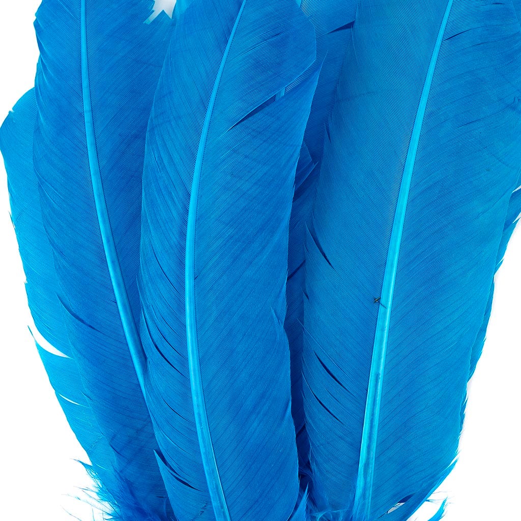 Turkey Quills Selected - Dark Turquoise - Feathers