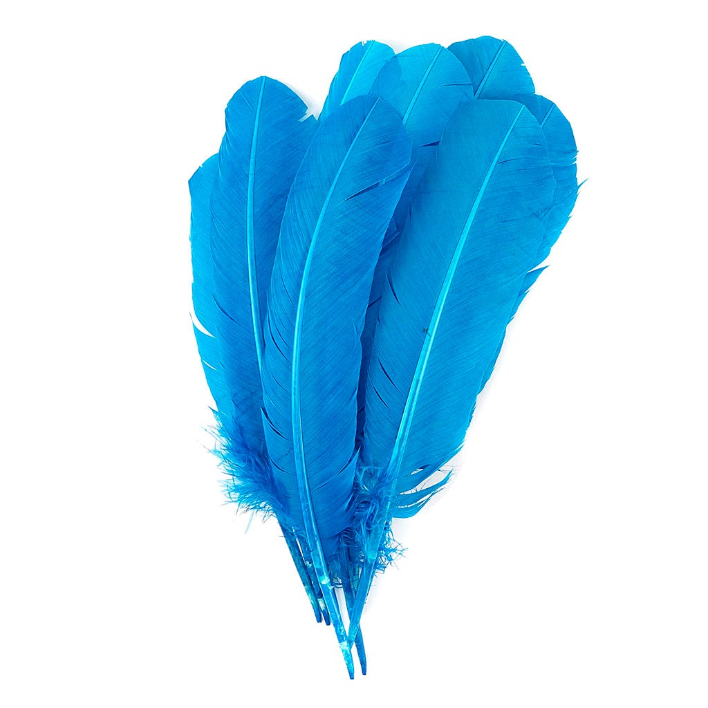 Turkey Quills Selected - Dark Turquoise - Feathers