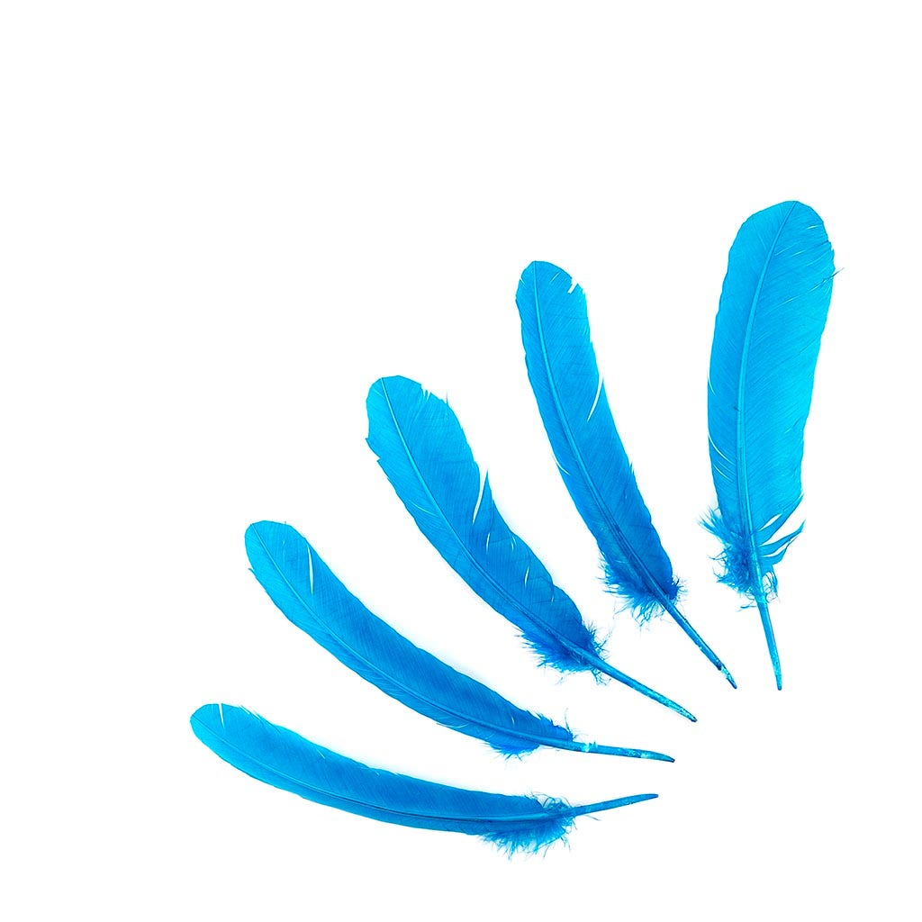 Turkey Quills Selected - Dark Turquoise - Feathers