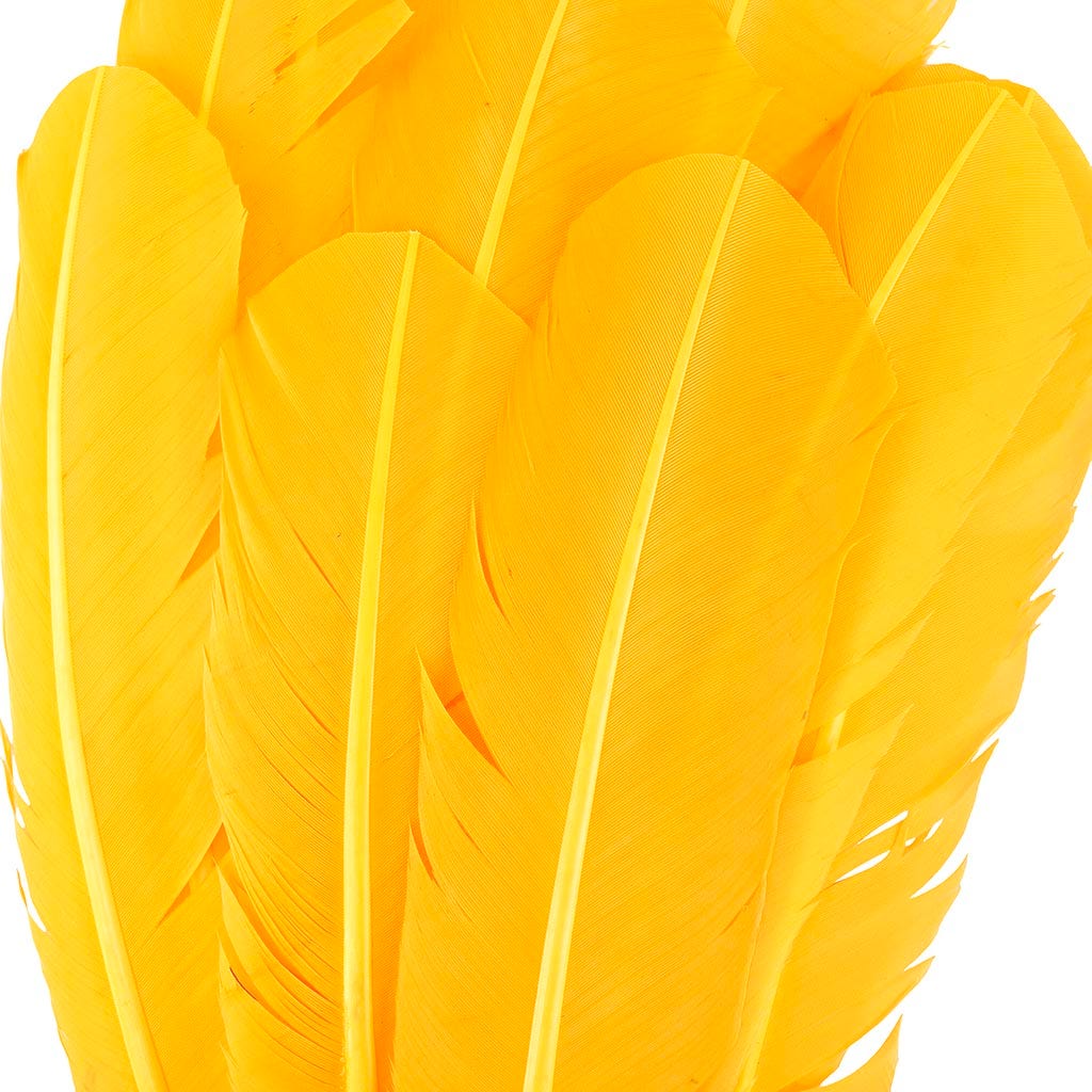 Turkey Quills Selected - Gold - Feathers