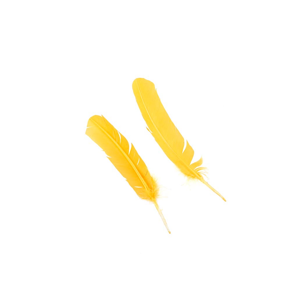 Turkey Quills Selected - Gold - Feathers