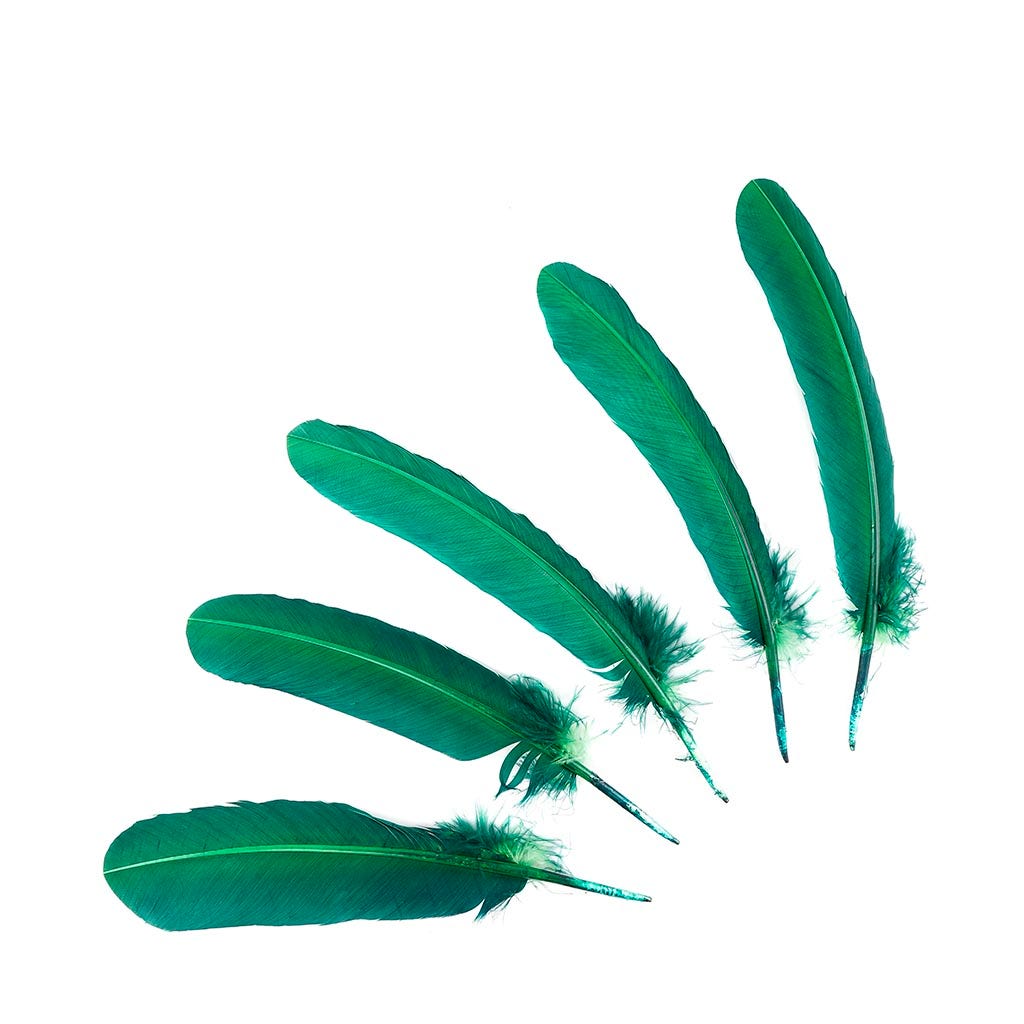 Turkey Quills Selected - Hunter Green - Feathers