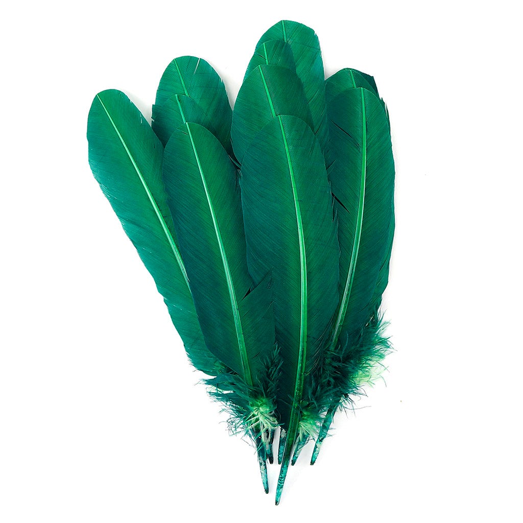 Turkey Quills Selected - Hunter Green - Feathers