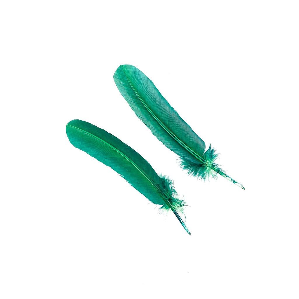 Turkey Quills Selected - Hunter Green - Feathers