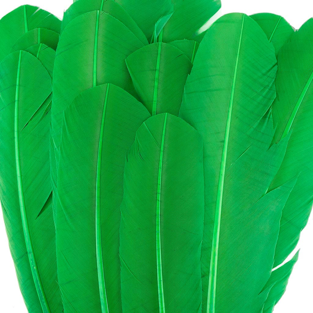 Turkey Quills Selected - Kelly - Feathers