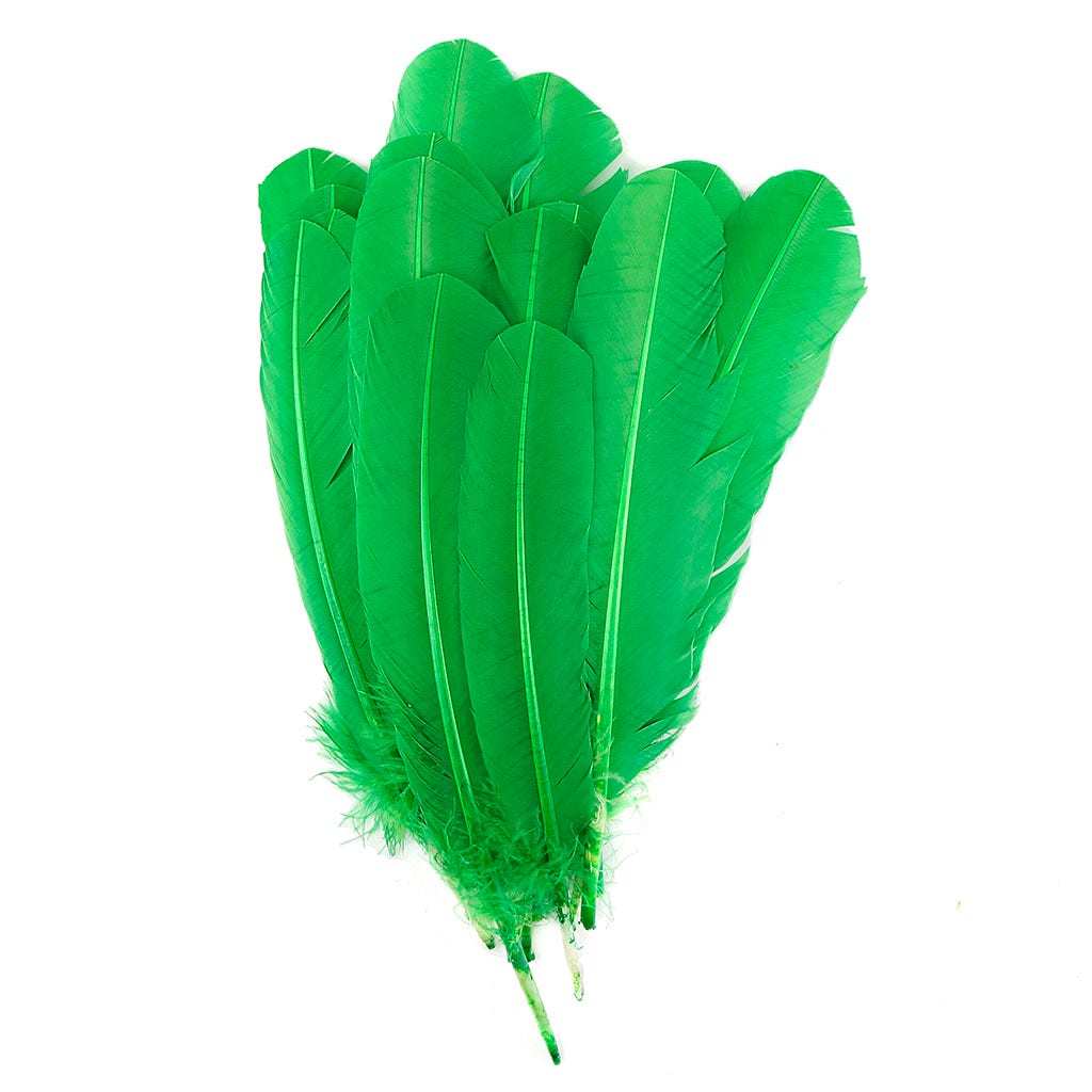 Turkey Quills Selected - Kelly - Feathers