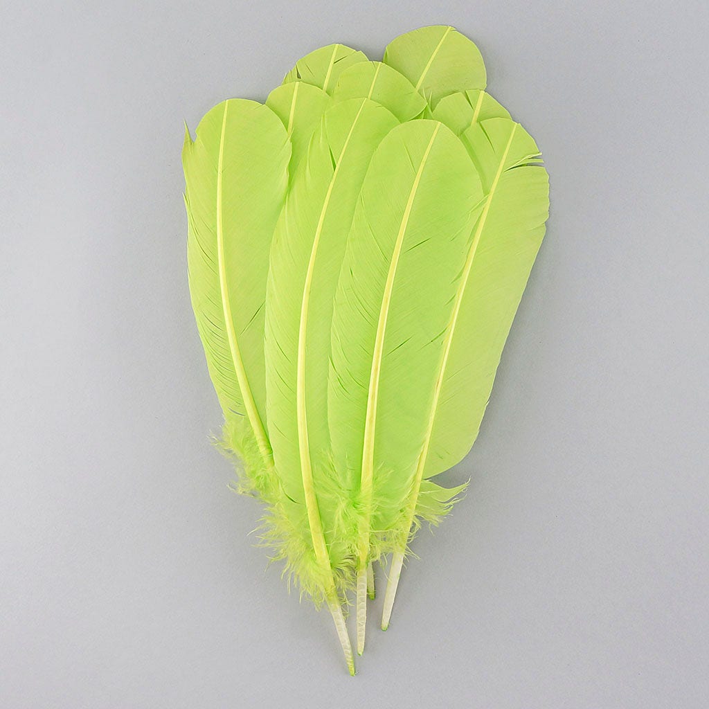 Turkey Quills Selected - Lime - Feathers