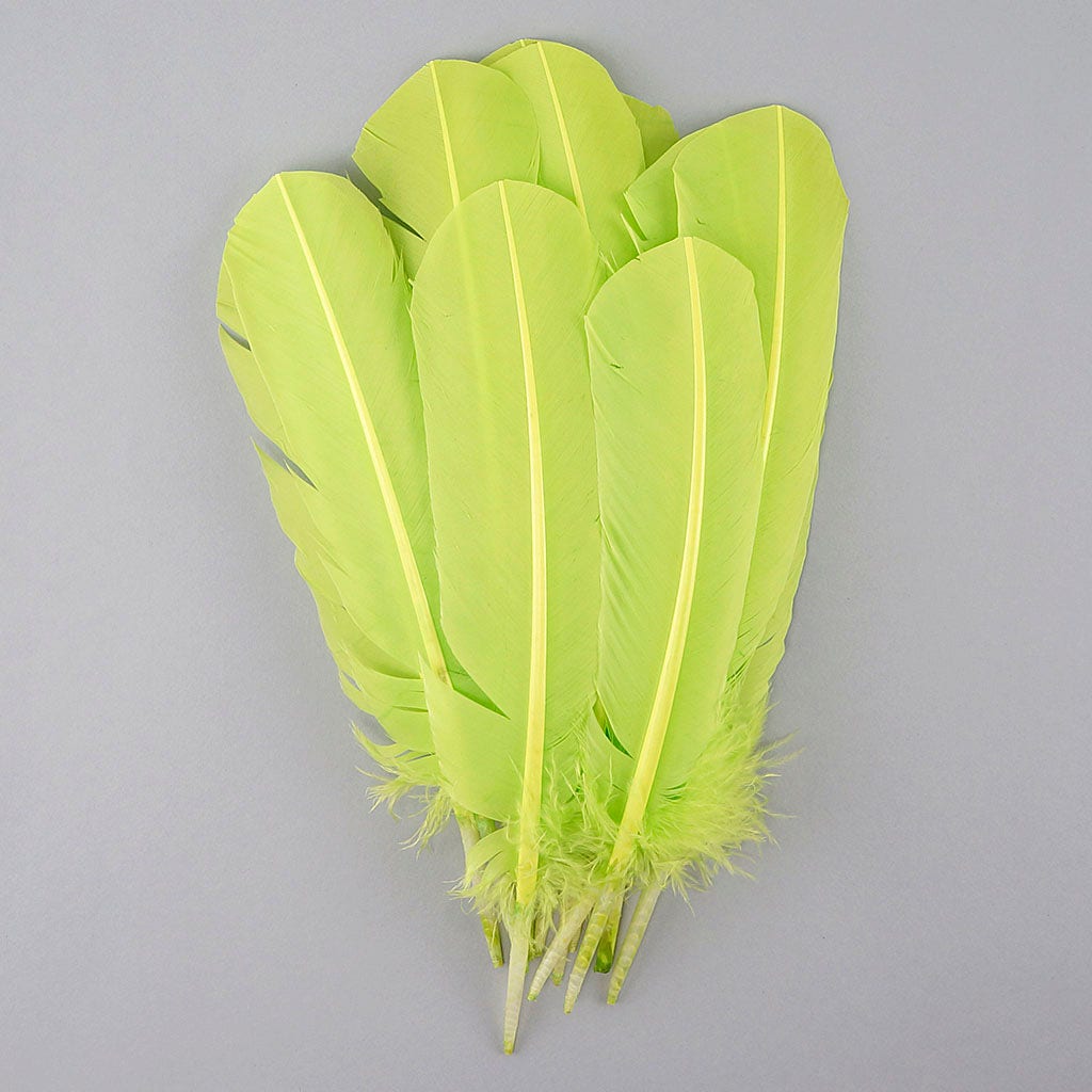 Turkey Quills Selected - Lime - Feathers