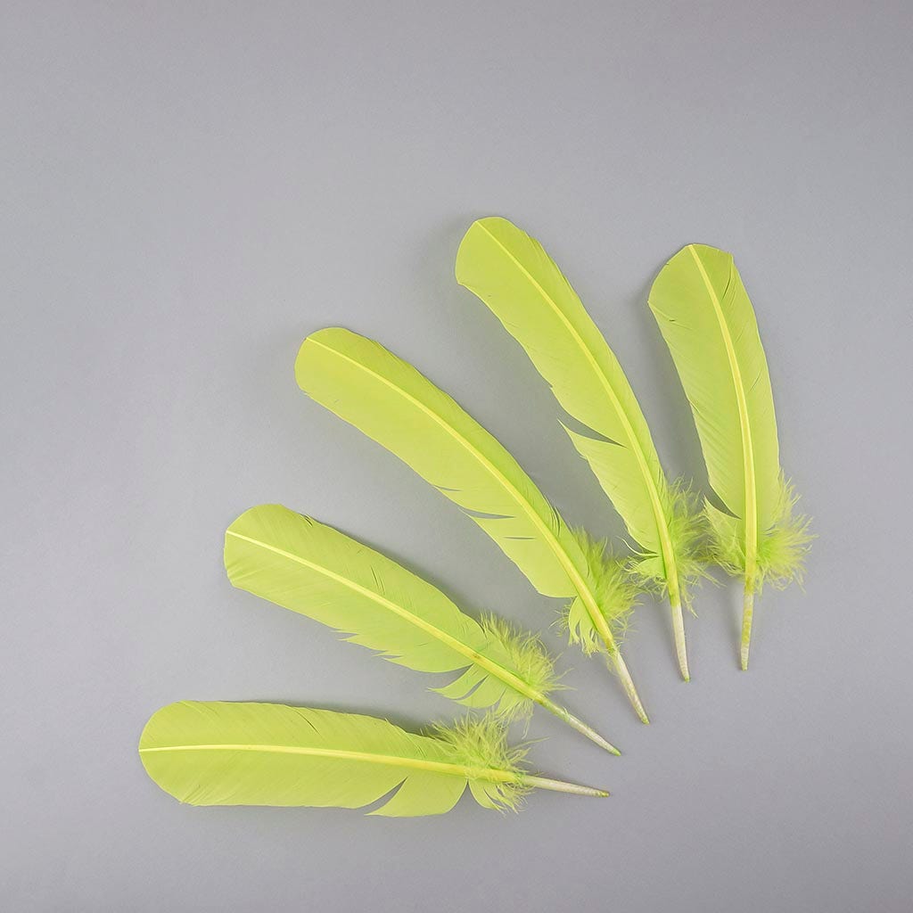 Turkey Quills Selected - Lime - Feathers