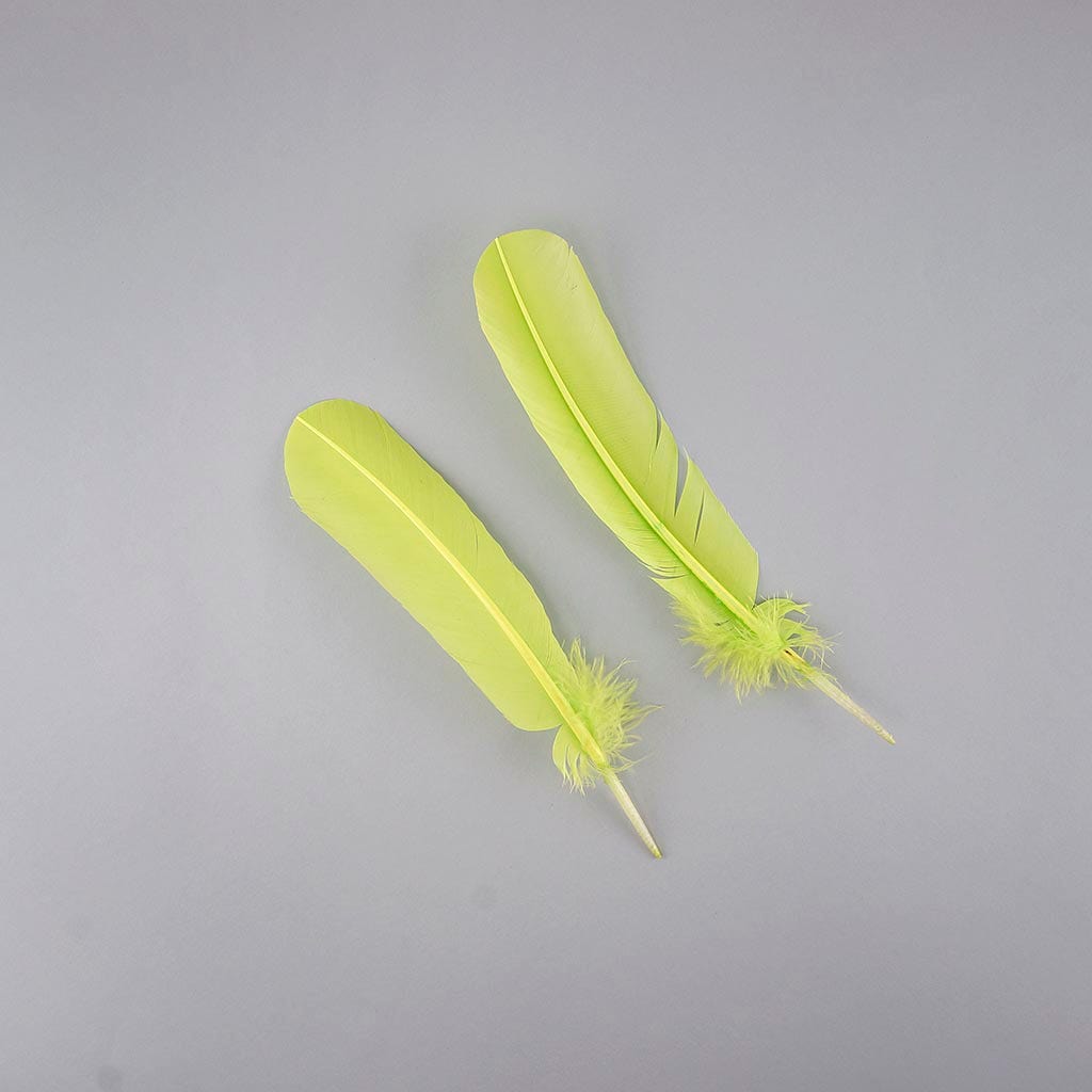 Turkey Quills Selected - Lime - Feathers