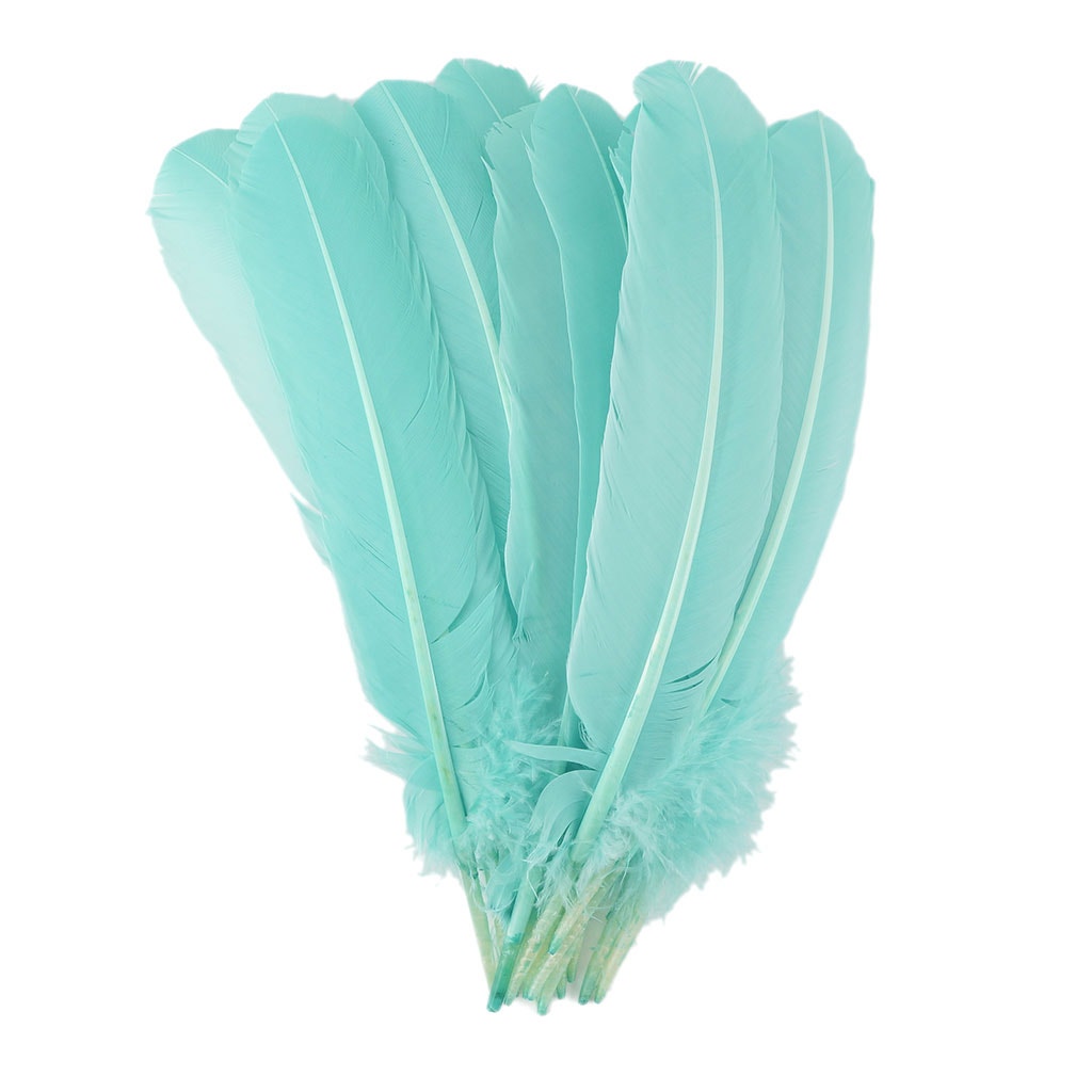 Turkey Quills Selected Mint - Feathers