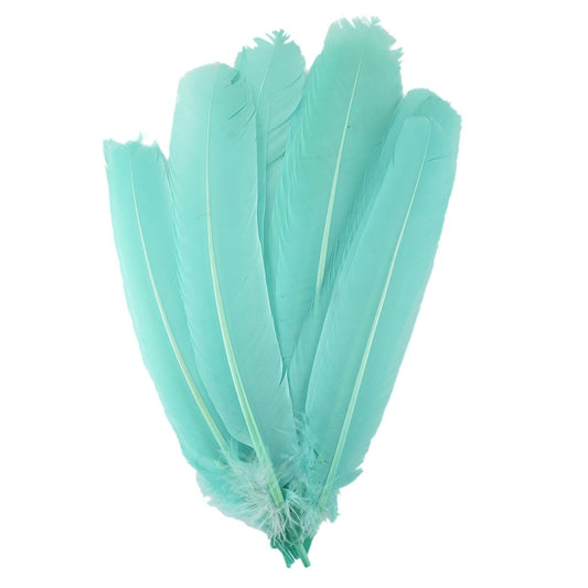 Turkey Quills Selected Mint - Feathers