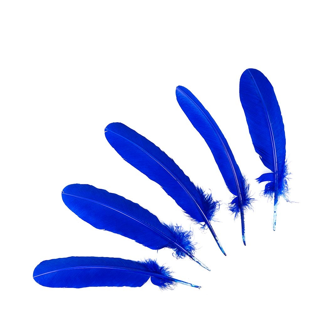 Turkey Quills Selected - Royal - Feathers