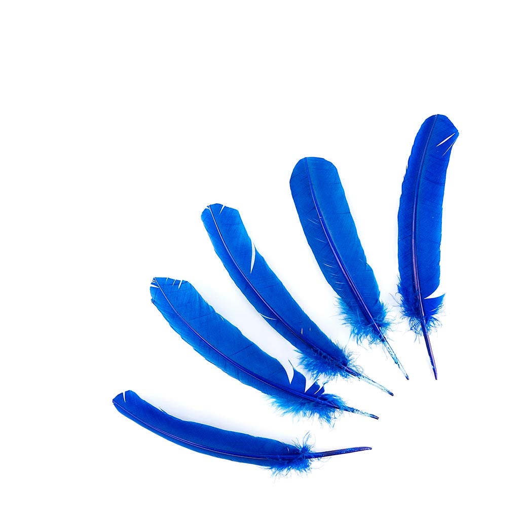 Turkey Quills Selected - Royal - Feathers