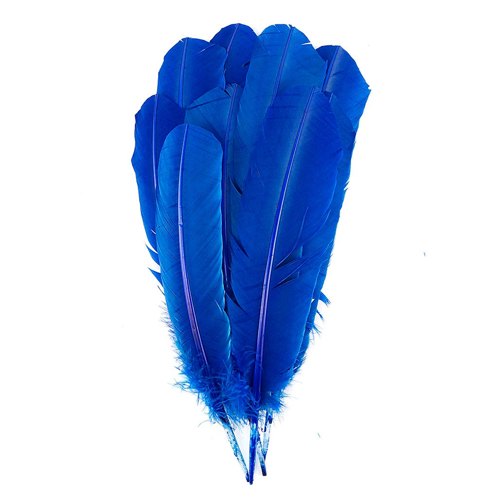 Turkey Quills Selected - Royal - Feathers