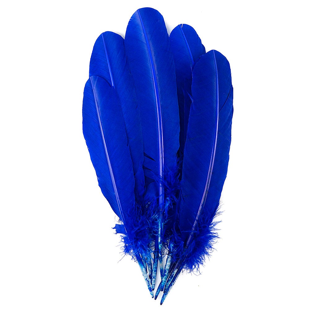 Turkey Quills Selected - Royal - Feathers