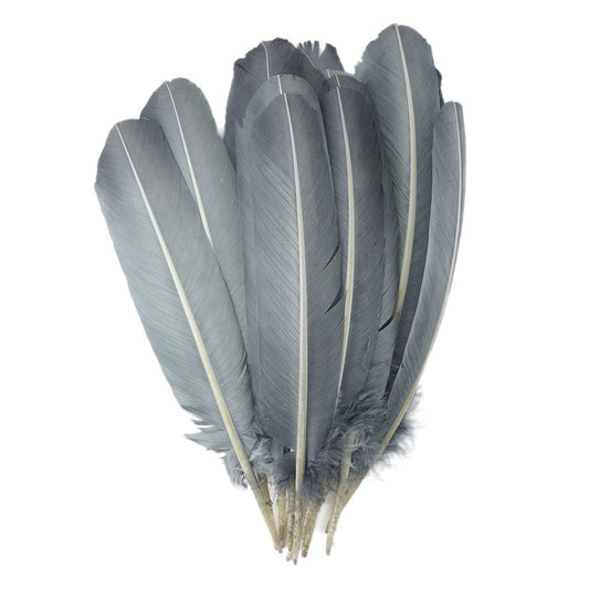 Turkey Quills Selected Silver - Feathers