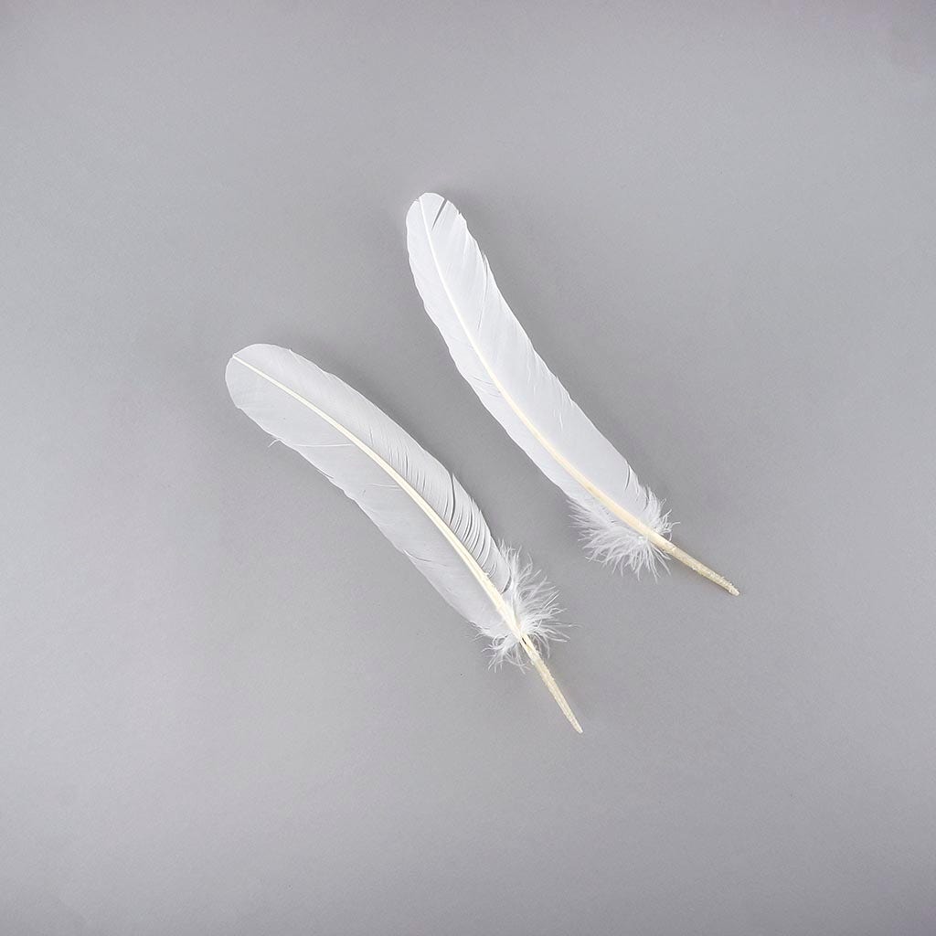 Turkey Quills Selected - White - Feathers