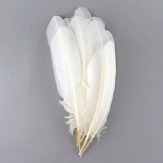 Turkey Quills Selected - White - Feathers