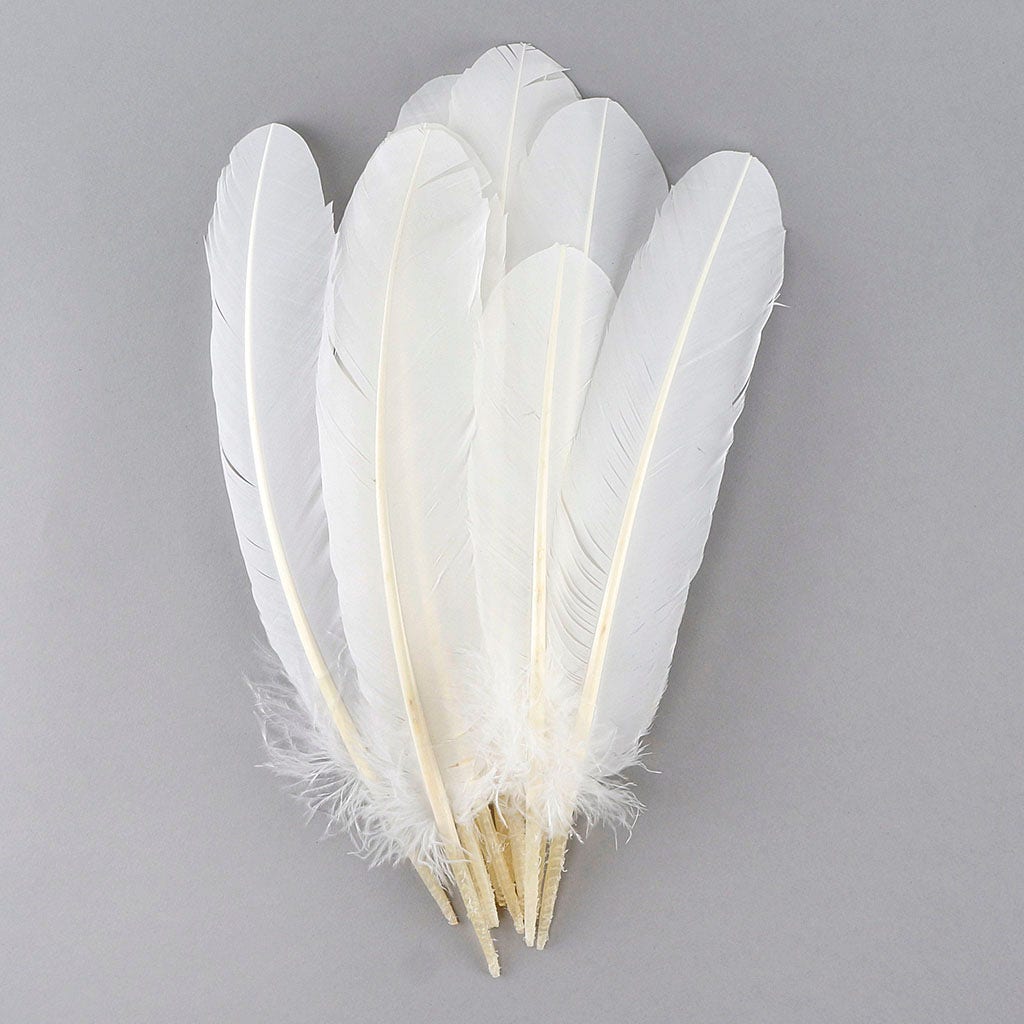 Turkey Quills Selected - White - Feathers