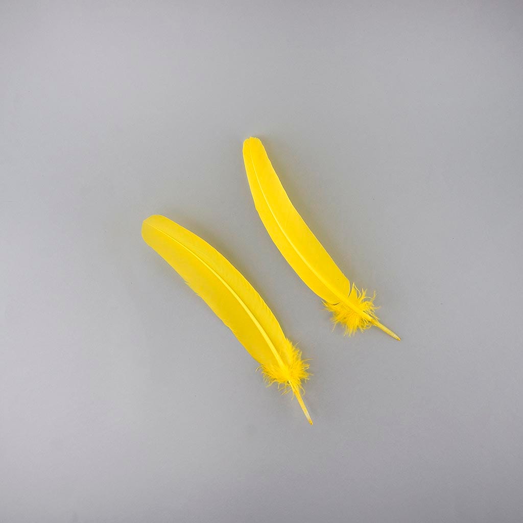 Turkey Quills Selected - Yellow - Feathers