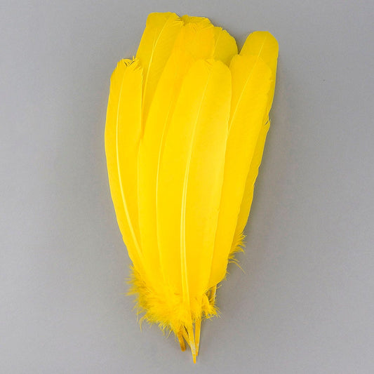 Turkey Quills Selected - Yellow - Feathers