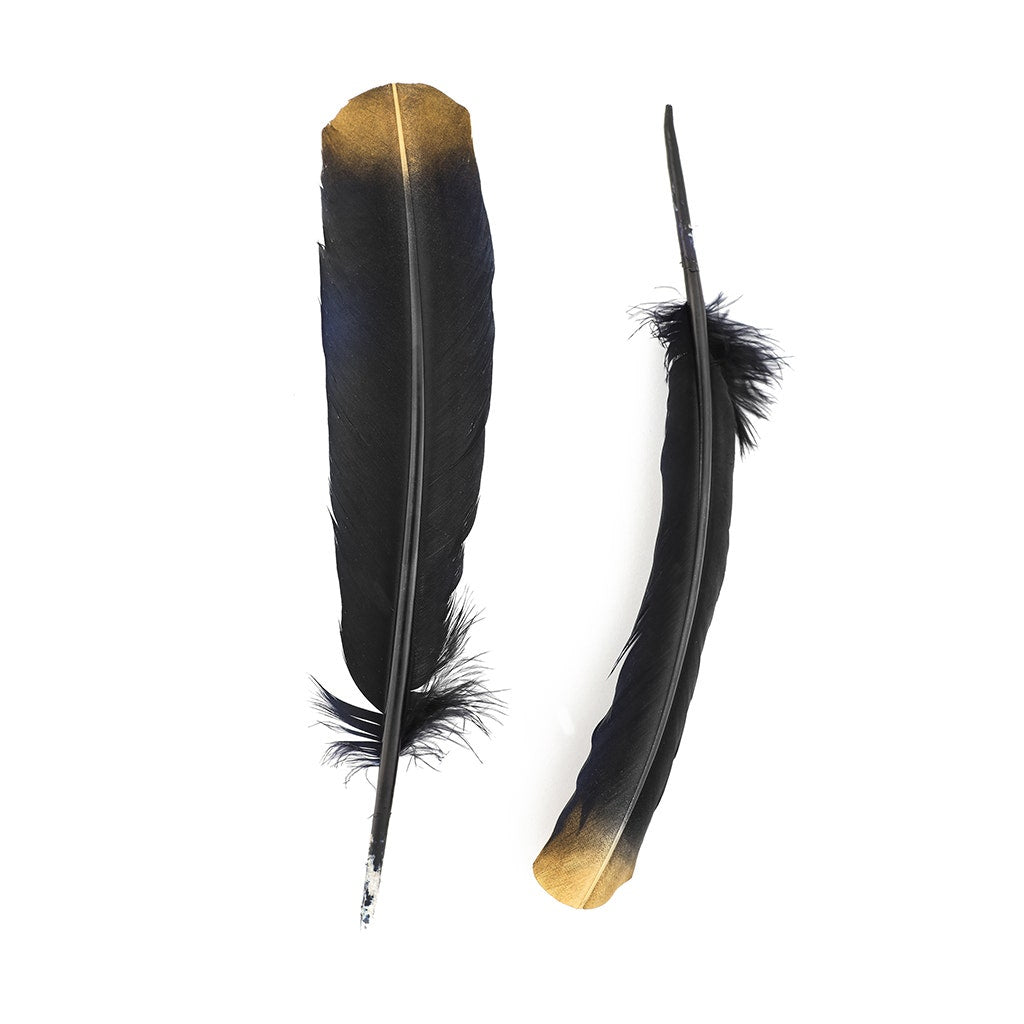 Turkey Quills Tipped Metallic - Black/Gold Lurex - Feathers