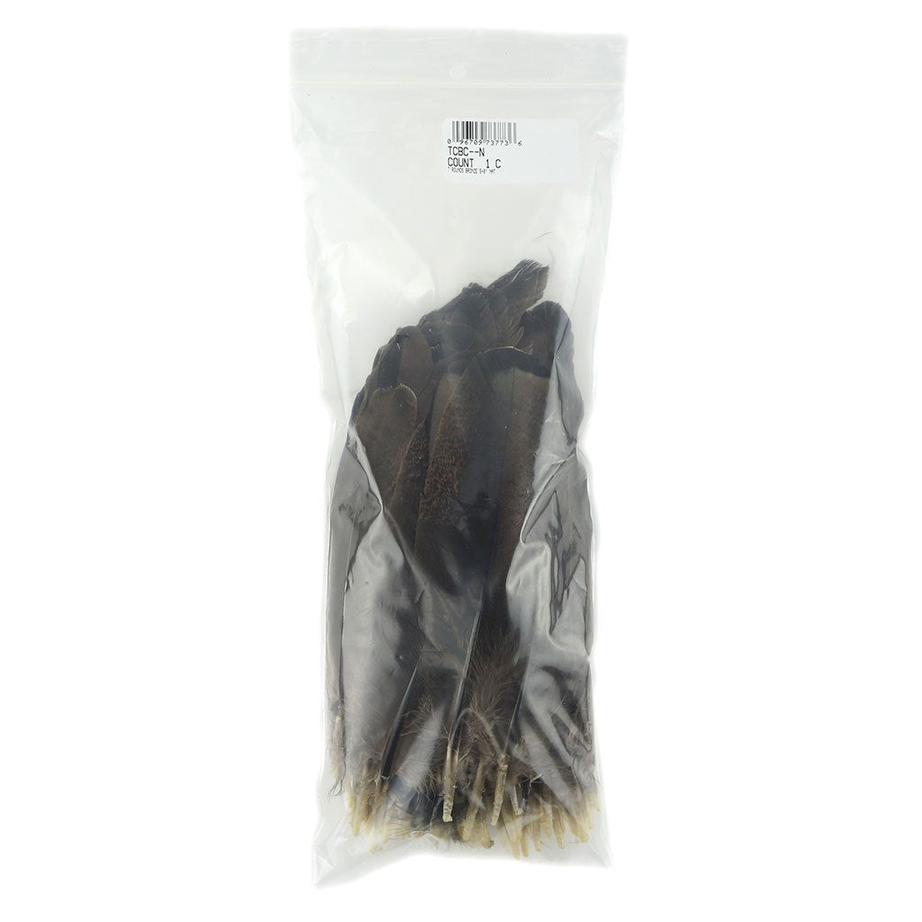 Turkey Rounds Bronze Feathers - Natural - Feathers