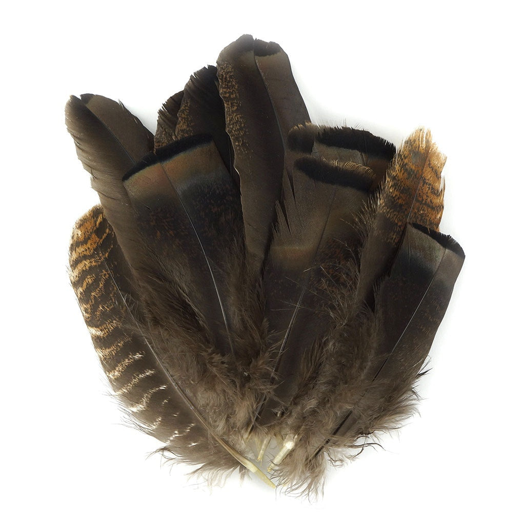 Turkey Rounds Bronze Feathers - Natural - Feathers