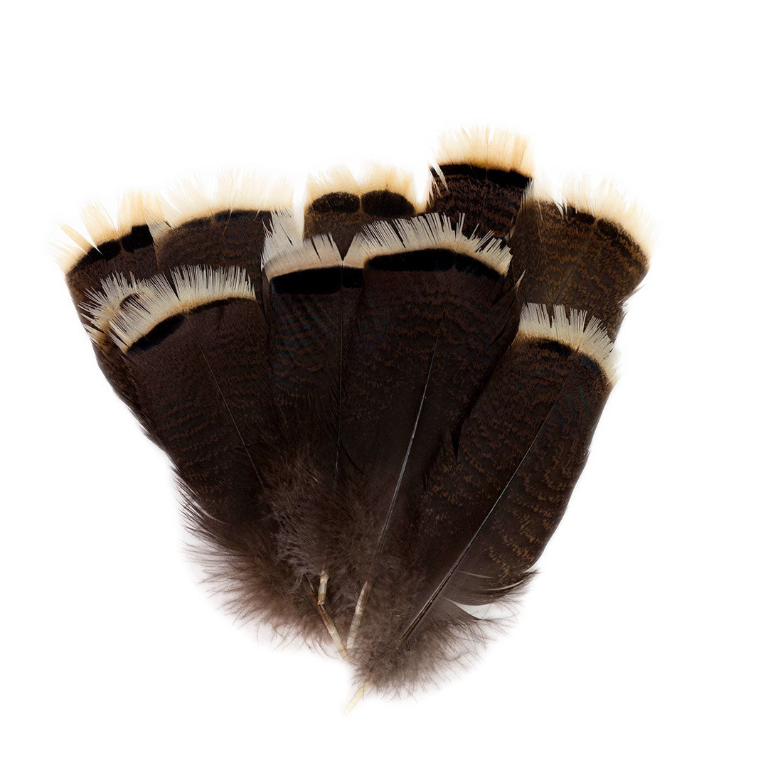 Bronze Turkey Tails Selected 4-8 inch  12PC PKG --Natural