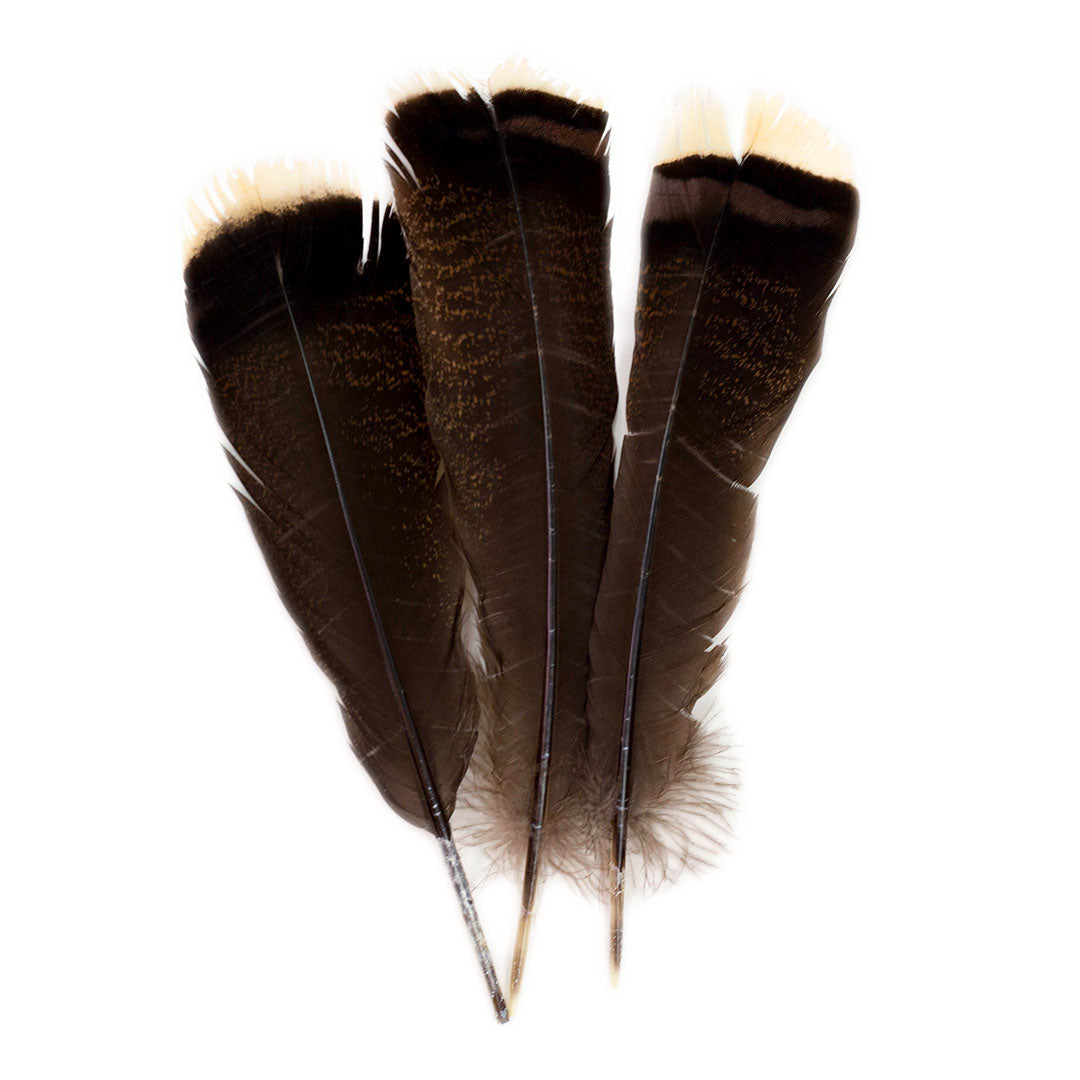 Bronze Turkey Tails Selected 4-8 inch  12PC PKG --Natural