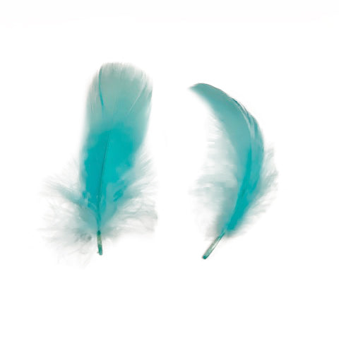 Goose Nagoire Loose 4-6 inch   1/4LB --Light Turquoise