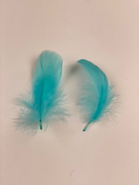 Goose Nagoire Loose 4-6 inch   1/4LB --Light Turquoise
