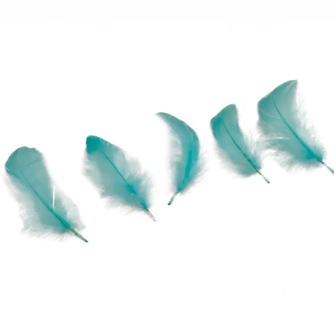 Goose Nagoire Loose 4-6 inch   1/4LB --Light Turquoise