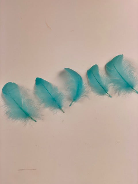 Goose Nagoire Loose 4-6 inch   1/4LB --Light Turquoise