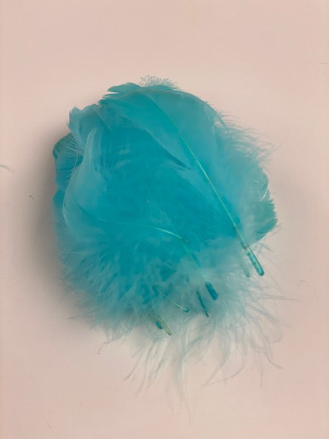 Goose Nagoire Loose 4-6 inch   1/4LB --Light Turquoise